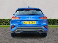 Used Kia XCeed 2025 Blue SUV