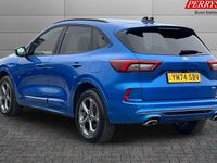 Used Ford Kuga ST-Line 242 HP (177 kW) 2025 SUV