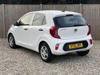 Used Kia Picanto 66 HP (48 kW) 2021 White Hatchback