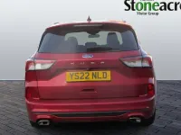 Used Ford Kuga ST-Line X 120 HP (88 kW) 2020 Red SUV