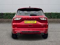 Used Ford Kuga ST-Line 2024 Red SUV