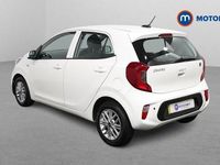 Used Kia Picanto 67 HP (49 kW) 2023 White Hatchback