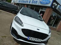 Used Ford Kuga S 2023 White SUV