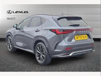 Used Lexus NX350h Sport Line 197 HP (144 kW) 2025 Grey SUV