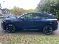Used Cupra Terramar 2025 Blue SUV