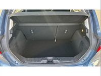 Used Ford Fiesta Titanium 125 HP (91 kW) 2023 Blue Hatchback