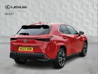 Used Lexus UX 250h 180 HP (132 kW) 2023 Red SUV