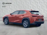 Used Lexus UX 300e 150 kW (204 HP) 2024 Orange SUV