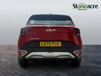 Used Kia Sportage 157 HP (115 kW) 2025 Red SUV
