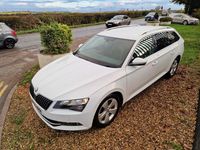 Used Skoda Superb Business Line 2016 White Estate