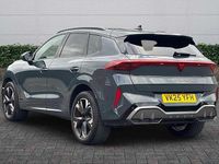 Used Cupra Terramar 2025 Blue SUV