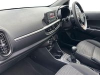 Used Kia Picanto 67 HP (49 kW) 2023 White Hatchback