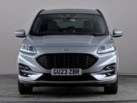 Used Ford Kuga ST-Line 190 HP (139 kW) 2023 Silver SUV