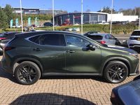 Used Lexus NX450h+ 288 HP (211 kW) 2026 Green SUV