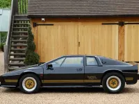 Used Lotus Esprit 1984 Black Coupe