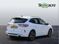 Used Ford Kuga ST-Line X 225 HP (165 kW) 2022 White SUV