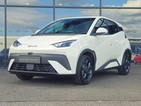 New BYD Dolphin Surf Comfort 11 kW (15 HP) 2026 Apricity white Hatchback