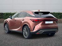Used Lexus RX450h+ 2023 Bronze Estate