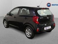 Used Kia Picanto 67 HP (49 kW) 2024 Hatchback