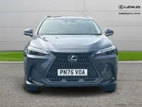 Used Lexus NX350h 240 HP (176 kW) 2025 Grey SUV