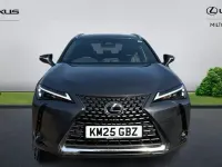 Used Lexus UX 199 HP (146 kW) 2025 Grey SUV