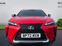 Used Lexus UX 250h 184 HP (135 kW) 2024 SUV