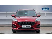 used Ford Kuga 1.5 EcoBlue ST-Line Edition 5dr Auto Diesel Estate