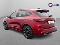 Used Ford Kuga ST-Line X 242 HP (177 kW) 2026 SUV