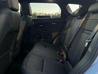 Used Land Rover Range Rover evoque SE Dynamic 269 HP (197 kW) 2025 Metallic  arroios grey SUV