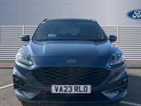 Used Ford Kuga ST-Line X 225 HP (165 kW) 2023 Blue SUV