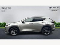 Used Lexus NX450h+ 2025 Silver SUV