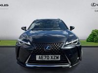 Used Lexus UX 250h 184 HP (135 kW) 2024 SUV