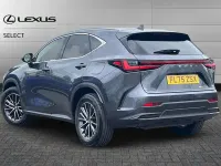Used Lexus NX450h+ 309 HP (227 kW) 2025 Grey SUV