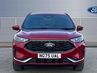 Used Ford Kuga ST-Line 242 HP (177 kW) 2026 SUV