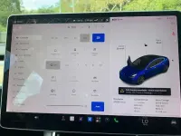 Used Tesla Model 3 Performance 334 kW (455 HP) 2020 Blue Sedan