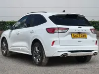 Used Ford Kuga ST-Line 190 HP (139 kW) 2023 White SUV