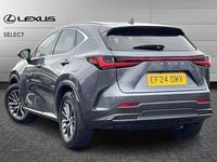 Used Lexus NX350h 245 HP (180 kW) 2024 Grey SUV