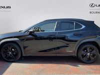 Used Lexus UX 250h 184 HP (135 kW) 2024 SUV