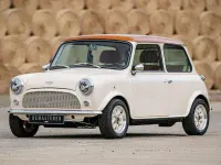 Used Rover Mini 97 HP (71 kW) 1991 Beige Hatchback