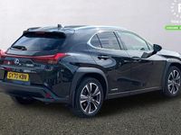 Used Lexus UX 250h 184 HP (135 kW) 2024 SUV
