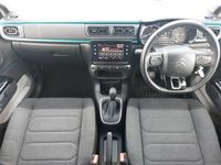 Used Citroën C3 PureTech 110 HP (80 kW) 2023 Beige Hatchback