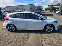 Used Ford Focus Zetec 125 HP (91 kW) 2016 White Hatchback