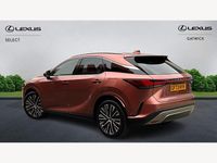 Used Lexus RX350h 2023 Bronze Estate