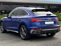 Used Audi SQ5 Comfort 341 HP (250 kW) 2023 Blue SUV