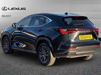 Used Lexus NX350h 244 HP (179 kW) 2024 Graphite black SUV
