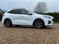 Used Ford Kuga ST-Line 190 HP (139 kW) 2021 White SUV