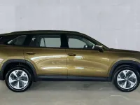 Used Skoda Kodiaq SE 204 HP (150 kW) 2025 Bronx gold SUV