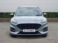 Used Ford Kuga ST-Line X 2023 Silver SUV