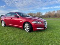 Used Jaguar XF Portfolio 200 HP (147 kW) 2015 Red Sedan