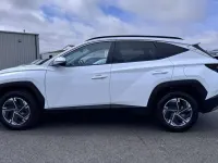 Used Hyundai Tucson Advanced 157 HP (115 kW) 2024 White SUV